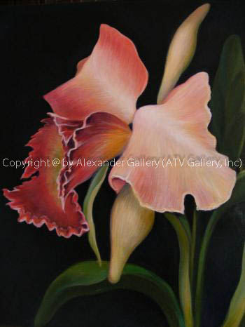 Eric 55. by Eric Lubiynov.